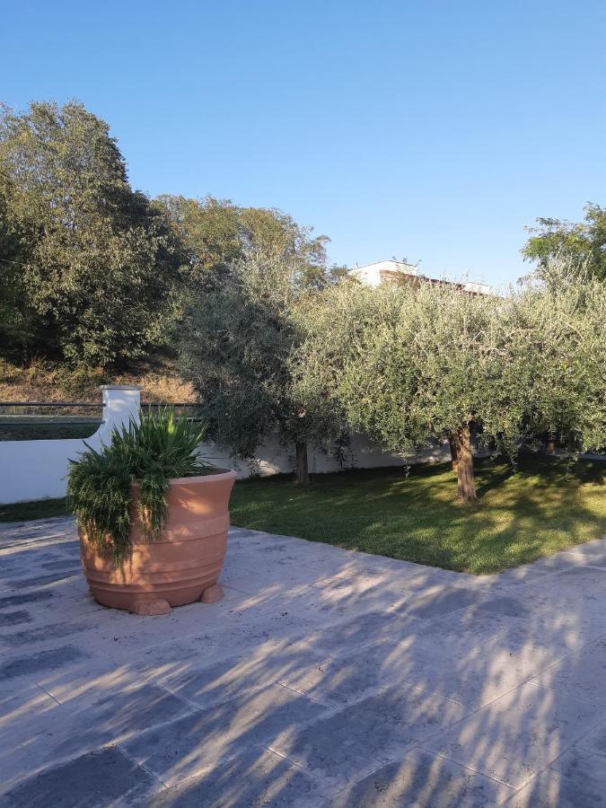 Pace, Luminosita E Comodita A Due Passi Dal Garda Volta Mantovana Exteriér fotografie