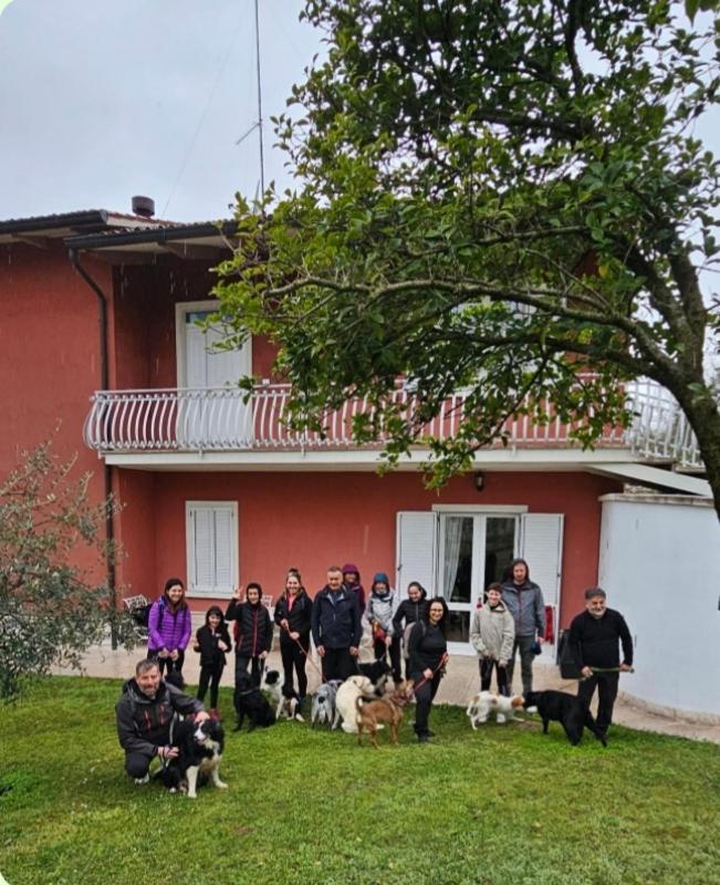 Pace, Luminosita E Comodita A Due Passi Dal Garda Volta Mantovana Exteriér fotografie