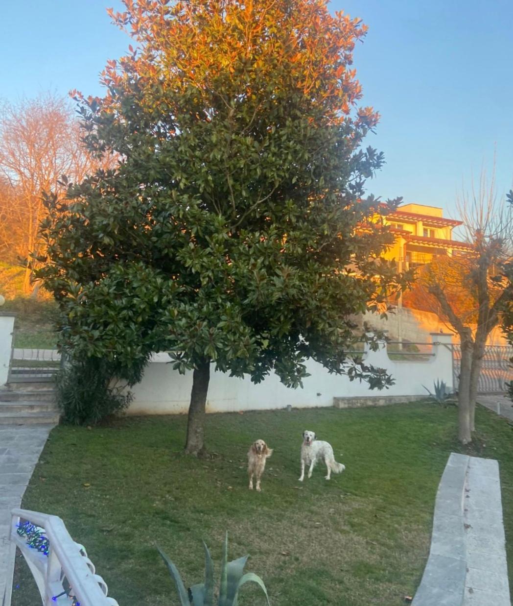 Pace, Luminosita E Comodita A Due Passi Dal Garda Volta Mantovana Pokoj fotografie