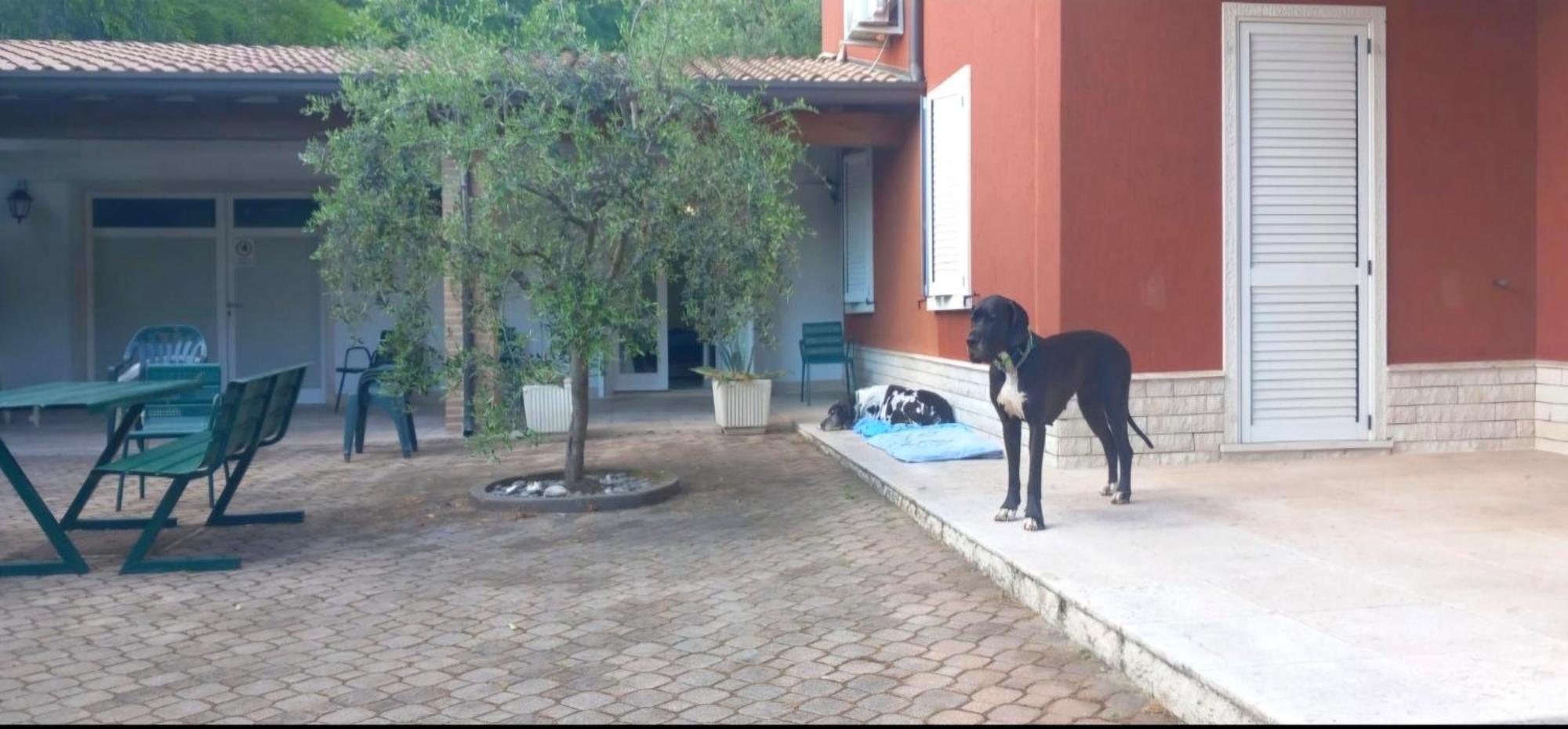 Pace, Luminosita E Comodita A Due Passi Dal Garda Volta Mantovana Exteriér fotografie